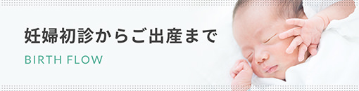 バナー:初診からご出産まで