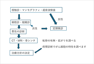 診断の流れのイメージ図