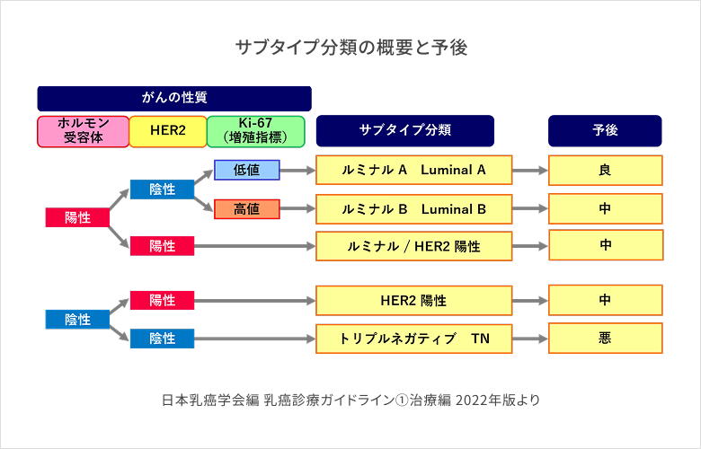 日本乳癌学会編 乳癌診療ガイドライン①治療編 2022年版より サブタイプ分類の概要と予後のイメージ図