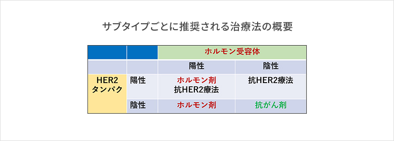 サブタイプごとに推奨される治療法の概要のイメージ図